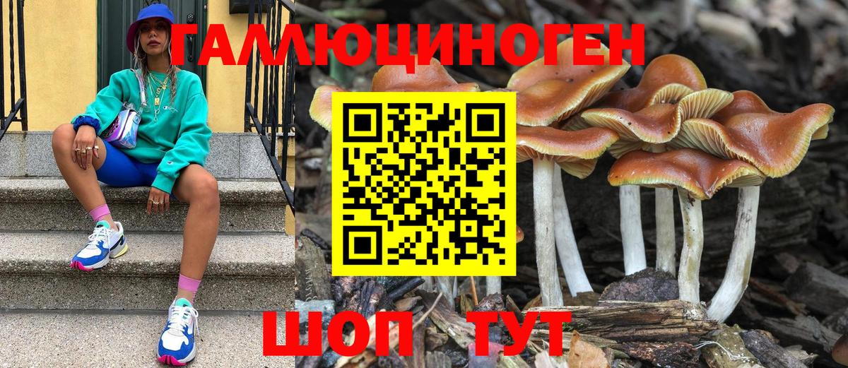 Медногорск  Псилоцибиновые грибы Psilocybe  Вход с VPN 